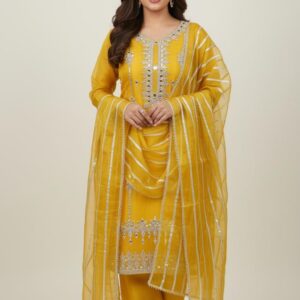 Fancy Festive Chiffon Suit